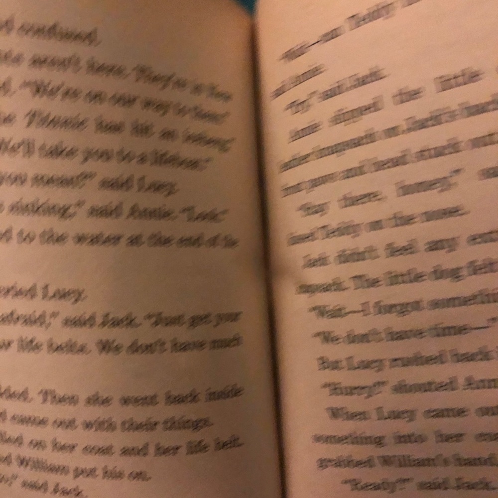 Children’s Book - Picture 3 of 4